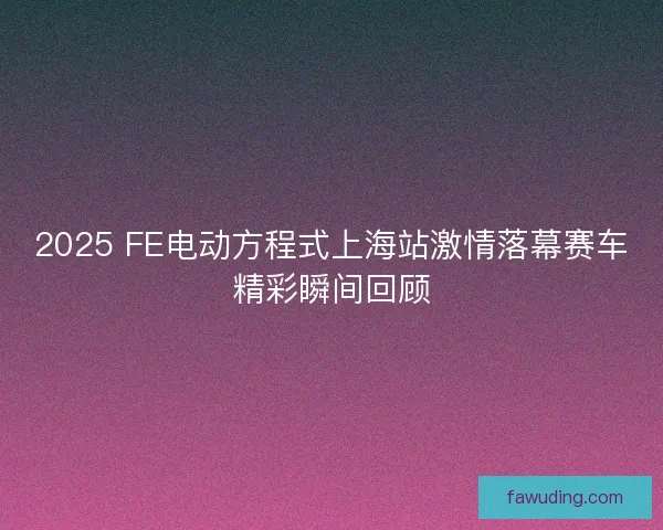 2025 FE电动方程式上海站激情落幕赛车精彩瞬间回顾
