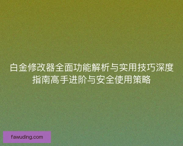 白金修改器全面功能解析与实用技巧深度指南高手进阶与安全使用策略