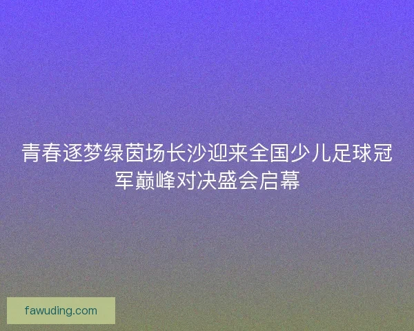 青春逐梦绿茵场长沙迎来全国少儿足球冠军巅峰对决盛会启幕